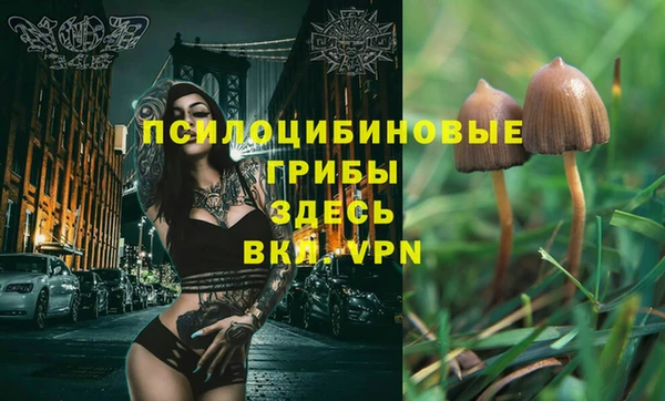 марки nbome Ессентукская