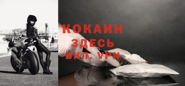 эйфоретик Майский