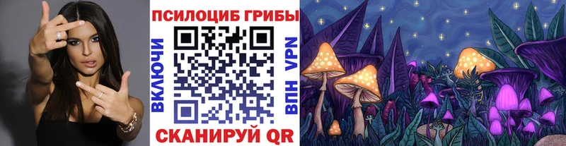 Псилоцибиновые грибы MAGIC MUSHROOMS  Ханты-Мансийск 