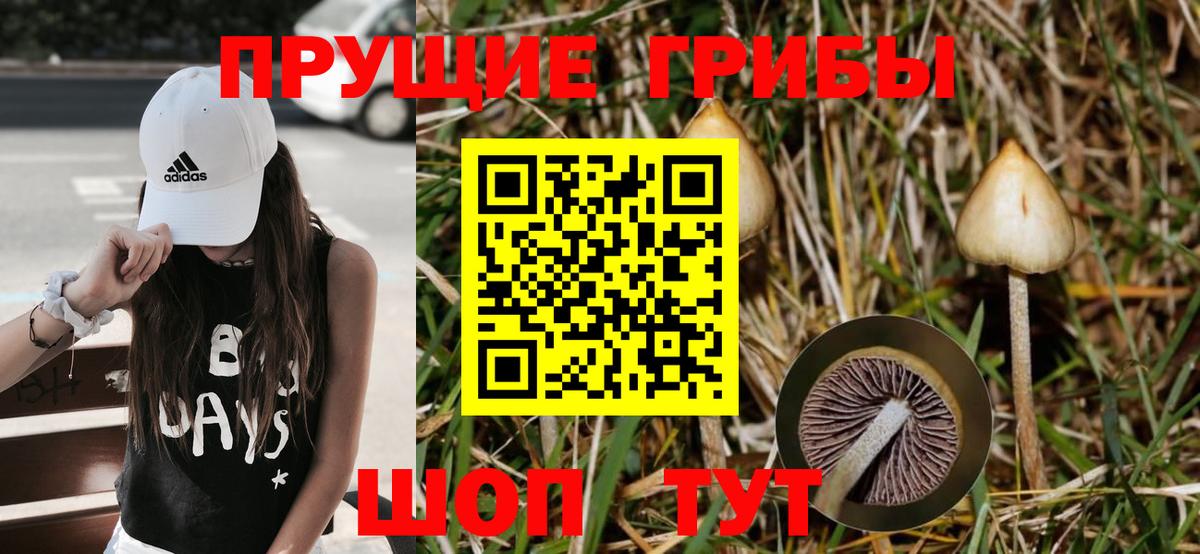 Псилоцибиновые грибы мицелий Ханты-Мансийск